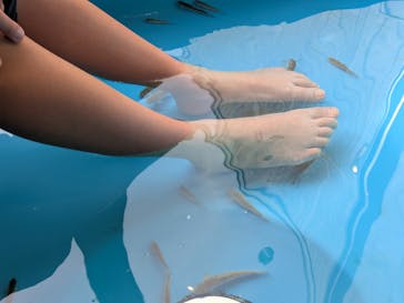 長崎温泉 Ark Land Spa (旧：島風の湯)に投稿された画像（2025/1/19）