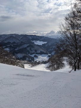 村上市ぶどうスキー場に投稿された画像（2025/1/19）