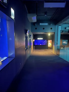 新江ノ島水族館に投稿された画像（2025/1/19）