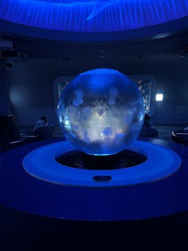 新江ノ島水族館に投稿された画像（2025/1/19）