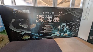 新江ノ島水族館に投稿された画像（2025/1/19）