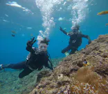 武藤潜水に投稿された画像（2025/1/19）