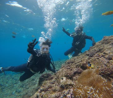 武藤潜水に投稿された画像（2025/1/19）