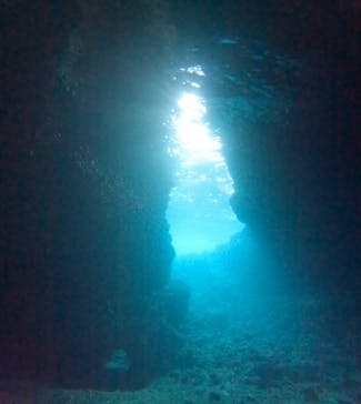 武藤潜水に投稿された画像（2025/1/19）