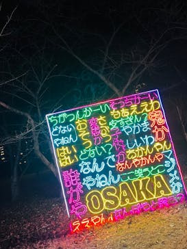 大阪城イルミナージュに投稿された画像（2025/1/19）