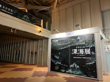 新江ノ島水族館に投稿された画像（2025/1/19）