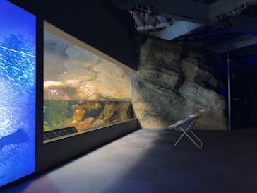 新江ノ島水族館に投稿された画像（2025/1/19）