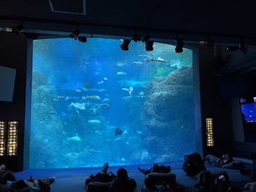 新江ノ島水族館に投稿された画像（2025/1/19）