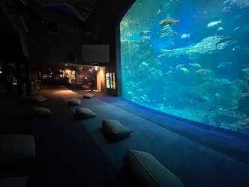 新江ノ島水族館に投稿された画像（2025/1/19）