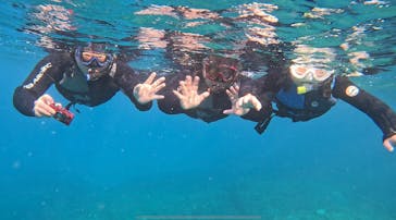 本部ダイビングショップTI.OCEANに投稿された画像（2025/1/19）