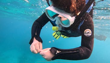 本部ダイビングショップTI.OCEANに投稿された画像（2025/1/19）