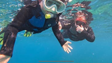 本部ダイビングショップTI.OCEANに投稿された画像（2025/1/19）