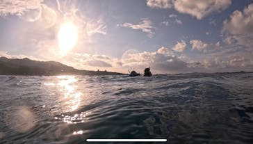 本部ダイビングショップTI.OCEANに投稿された画像（2025/1/19）