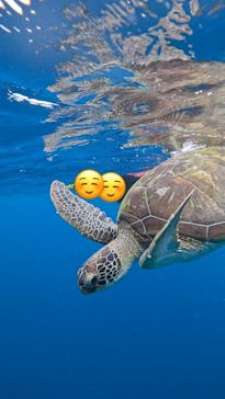  マリンショップHAPPYに投稿された画像（2025/1/19）