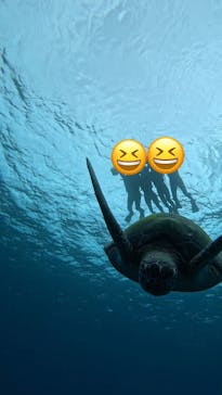  マリンショップHAPPYに投稿された画像（2025/1/19）