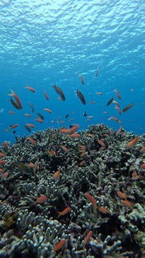  マリンショップHAPPYに投稿された画像（2025/1/19）