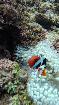  マリンショップHAPPYに投稿された画像（2025/1/19）