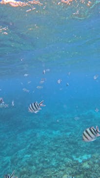  マリンショップHAPPYに投稿された画像（2025/1/19）