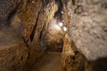 CAVE OKINAWAに投稿された画像（2025/1/19）