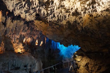 CAVE OKINAWAに投稿された画像（2025/1/19）