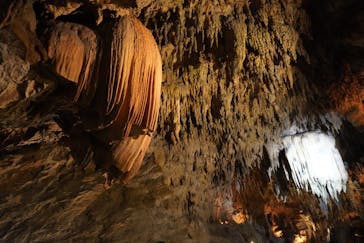 CAVE OKINAWAに投稿された画像（2025/1/19）