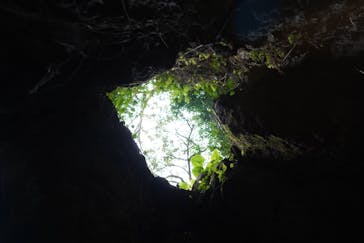 CAVE OKINAWAに投稿された画像（2025/1/19）