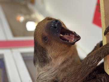 アニタッチ MARK IS 静岡に投稿された画像（2025/1/19）