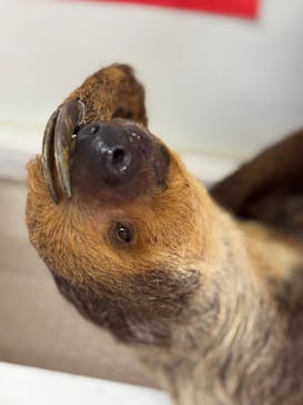 アニタッチ MARK IS 静岡に投稿された画像（2025/1/19）