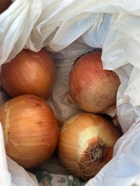 淡路ファームパーク イングランドの丘に投稿された画像（2025/1/19）