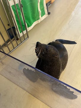 新江ノ島水族館に投稿された画像（2025/1/19）