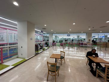 キッズランドUS 静岡清水店に投稿された画像（2025/1/19）