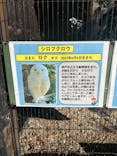 東武動物公園に投稿された画像（2025/1/19）