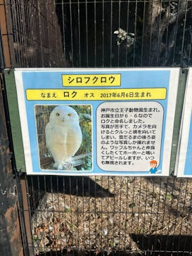 東武動物公園に投稿された画像（2025/1/19）