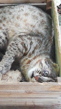 名古屋市東山動植物園に投稿された画像（2025/1/19）