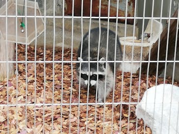 名古屋市東山動植物園に投稿された画像（2025/1/19）