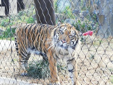 名古屋市東山動植物園に投稿された画像（2025/1/19）