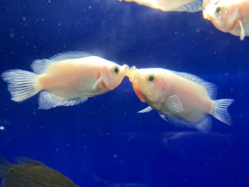 サンシャイン水族館に投稿された画像（2025/1/19）