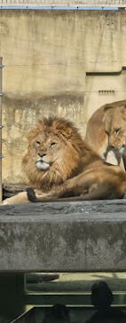 東武動物公園に投稿された画像（2025/1/19）