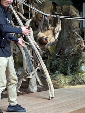 カワスイ 川崎⽔族館に投稿された画像（2025/1/19）