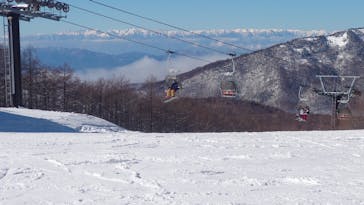 湯の丸スキー場に投稿された画像（2025/1/19）