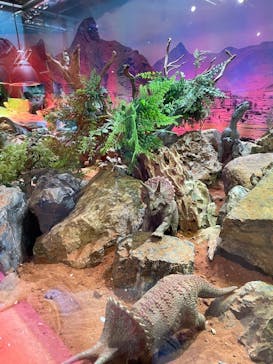 NARA IKIMONO MUSEUMに投稿された画像（2025/1/19）