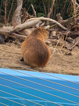 竹島水族館に投稿された画像（2025/1/19）