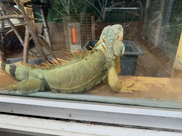 東武動物公園に投稿された画像（2025/1/19）