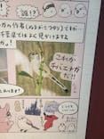 特別展「鳥 ～ゲノム解析が解き明かす新しい鳥類の系統～」国立科学博物館に投稿された画像（2025/1/19）