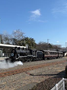 京都鉄道博物館に投稿された画像（2025/1/19）