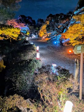 NAKEDヨルマイリ 2025-26 平安神宮に投稿された画像（2025/1/19）