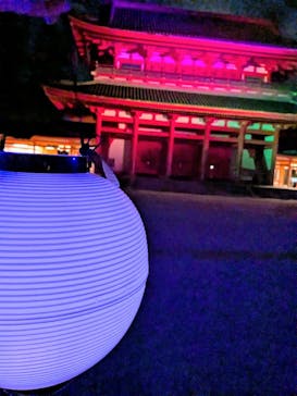 NAKEDヨルマイリ 2025-26 平安神宮に投稿された画像（2025/1/19）