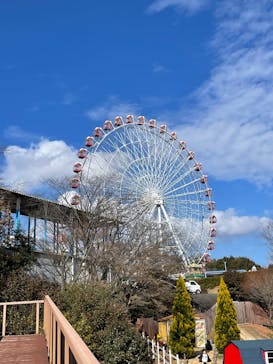 日本モンキーパークに投稿された画像（2025/1/19）