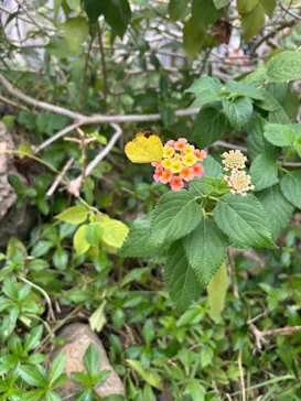 多摩動物公園に投稿された画像（2025/1/19）