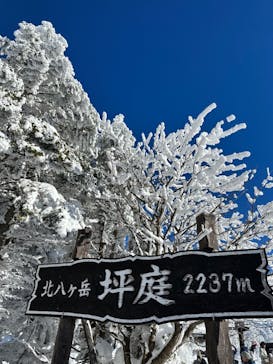 北八ヶ岳ロープウェイに投稿された画像（2025/1/19）